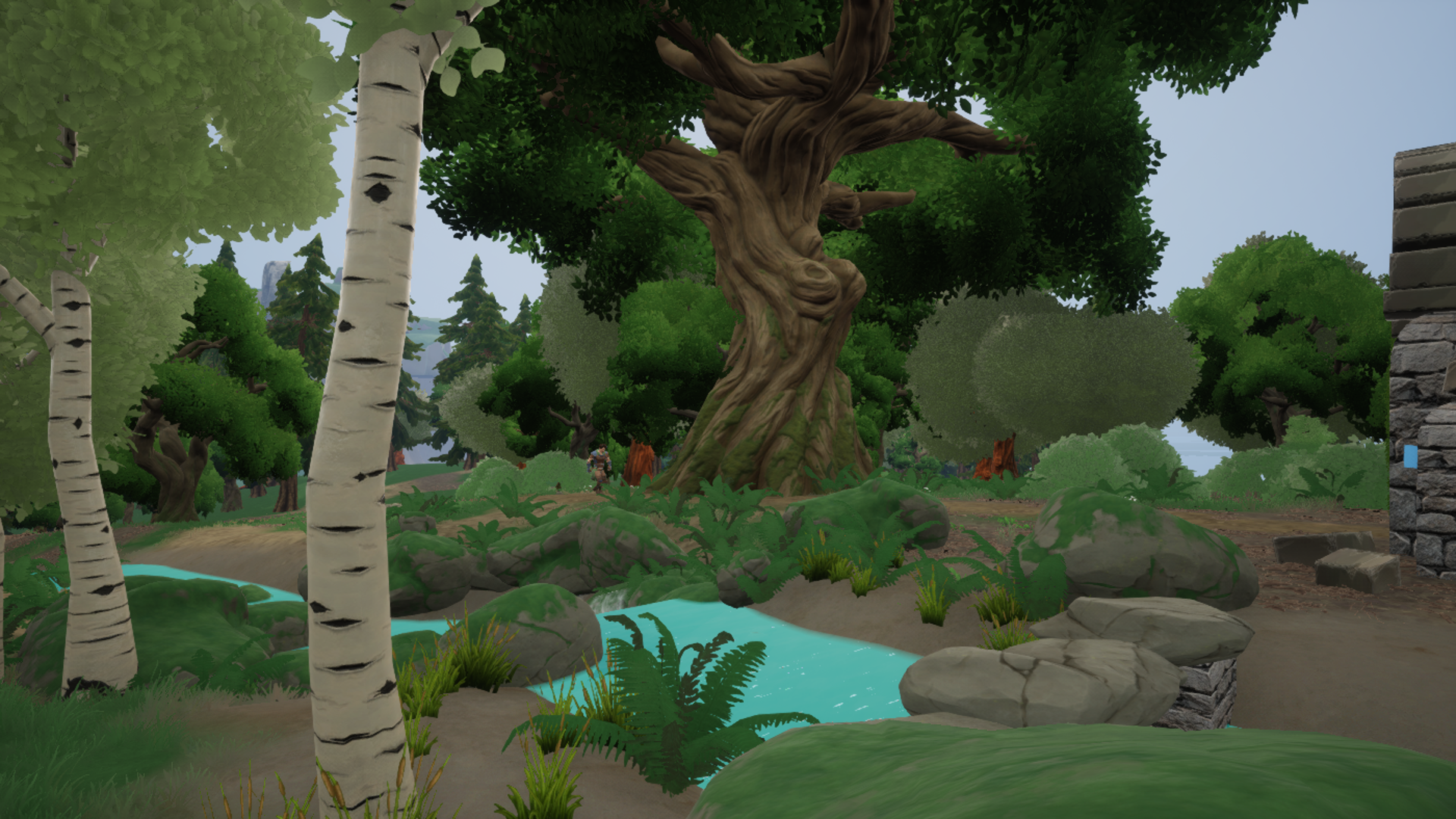 A great tree beside a river, deep in the forest